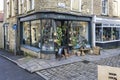 Pilea flower and plant shop window on Catherine Hill, Frome, Somerset, UK