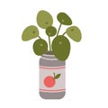 Pilea peperomioides, Chinese money plant in can, cartoon style. House plants for home interior, urban jungle. Trendy