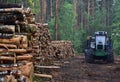 Piled pine tree logs in forest. Out of focus, possible granularity, motion blur