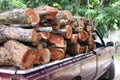 Piled of wood logs overlap  in old red pickup truck  , Transportation background Royalty Free Stock Photo
