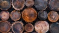 Piled wooden logs ready for burning or use as fuel, versatile image for various contexts Royalty Free Stock Photo