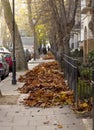 Piles of Autumn.