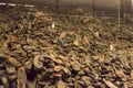 Piles of belongings (shoes) of the people killed in Auschwitz Royalty Free Stock Photo