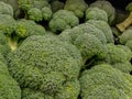 Piles of broccoli florets in a market.