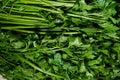 piles of celery that are on the market and are freshly harvested.