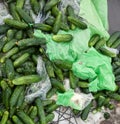 Piles of cucumbers on the landfill