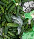 Piles of cucumbers on the landfill