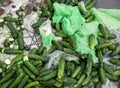 Piles of cucumbers on the landfill