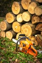 Piles of cut timber for heating fuel production. Sedico, Belluno, Italy