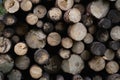Piles of cut wood logs stacked in a rustic setting, ready for use in construction Royalty Free Stock Photo