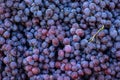 Piles of delicious fresh juicy seedless red grapes background in city fruit market Royalty Free Stock Photo