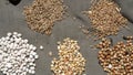 Piles of dried beans and grain Royalty Free Stock Photo