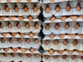 Piles of Eggs in Cartons Royalty Free Stock Photo