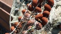 Piles of fishing nets and nylon ropes and floats in a harbor, in the morning sun