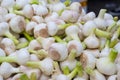 Fresh garlic, vegatables, bright with light green stalks, many