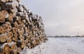 Piles of freshly cut logs under the snow, ready to be taken out of the forest