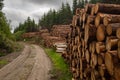 A front on view of a pile of freshly cut trees striped of branches and prepared for the saw mill part of the logging industry in