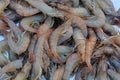 Piles of frozen prawns Royalty Free Stock Photo