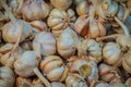 Piles of garlic bulbs are in sell offer at outdoor market place. Bunch of garlic selling in the market.