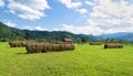 Piles of hay at mountains Royalty Free Stock Photo
