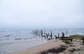 Piles from the old pier, Baltic Sea