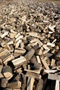 Piles of pieces of maple tree wood spread out to be seasoned Royalty Free Stock Photo