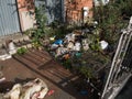 Rubbish, trash and household refuse dumped in garden, Dublin, Ireland
