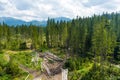 Piles of sawn logs in beautiful Low Tatras alpine landscape. Majestic pine trees of Tatra mountains near Zakopane, Poland Royalty Free Stock Photo