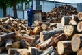 piles of sawn wood with employee performing quality control Royalty Free Stock Photo