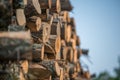 Piles of stacked logged trees from Governor Knowles State Forest in Northern Wisconsin - DNR has working forests that are harveste Royalty Free Stock Photo