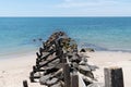 Piles stones anti erosion beach on the island of Noirmoutier VendÃÂ©e Royalty Free Stock Photo