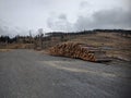 Piles of stumps in Biskupia Kopa mountain Royalty Free Stock Photo