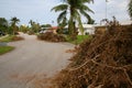 Piles of Tree Branches Hurricane Irma