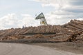 Logs at lumber mill Royalty Free Stock Photo