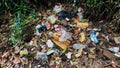 Background of garbage. Piles of undecomposed garbage. Plastic garbage fills the yard. The concept of environmental pollution Royalty Free Stock Photo