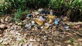 Background of garbage. Piles of undecomposed garbage. Plastic garbage fills the yard. The concept of environmental pollution Royalty Free Stock Photo