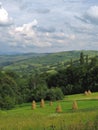 Piles of yellow hay on meadows on the slopes of the green Carpathian mountains Royalty Free Stock Photo