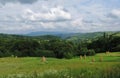 Piles of yellow hay on meadows in the tops of the Carpathian Mountains with dramatic clouds Royalty Free Stock Photo