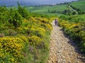 Pilgrim climbing the Alto del PerdÃÂ³n the Mount of Forgiveness, in the Way of Saint James, Pamplona, Navarra, Spain