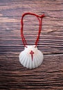 Pilgrim Scallop shells with the Cross of the Order of Santiago. Typical symbol of pilgrimage in the way of saint james  on Royalty Free Stock Photo