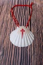 Pilgrim Scallop shells with the Cross of the Order of Santiago. Typical symbol of pilgrimage in the way of saint james  on Royalty Free Stock Photo