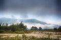 Pilgrim trail between Tui and O Porrino on the Camino de Santiago trail, Spain Royalty Free Stock Photo