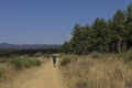 Pilgrim walking alone in the Camino de Santiago The Way of Saint James, Leon, Spain.