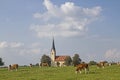 Pilgrimage church of St. Leonhard in Nussdorf am Inn Royalty Free Stock Photo