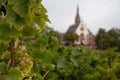 Pilgrimage Church of St. Rochus Chapel in Bingen am Rhein. Beautiful green vineyards in Germany Royalty Free Stock Photo