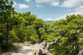On the Pilgrimage way to Saint Guilhem le Desert Royalty Free Stock Photo