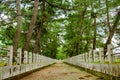 Pilgrimage road to Horyuji Temple, Nara, Japan