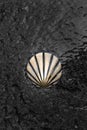St James Way Shell Symbol. Camino de Santiago Royalty Free Stock Photo