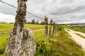 On the pilgrimage way in Aubrac