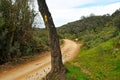 Pilgrims in the Mozarabic Camino de Santiago, Cerro Muriano, Cordoba, Spain